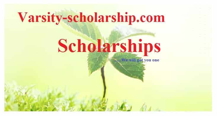 Study in America scholarships, 2017